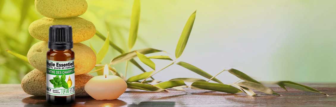 EXPEDITION OFFERTE A PARTIR DE 89 € D'ACHAT